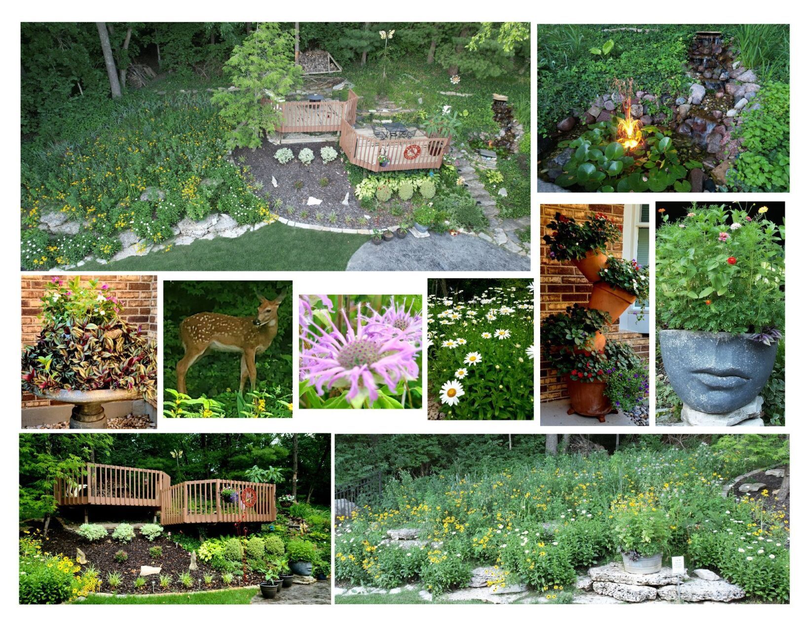 Backyard Paradise
